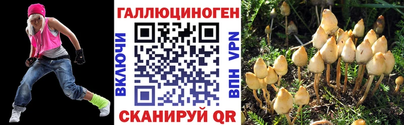 Купить где  Цоци-Юрт  Псилоцибиновые грибы прущие грибы 